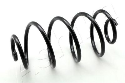 Suspension Spring ASHIKA ZCA5135X