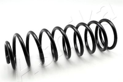 Suspension Spring ASHIKA ZCA5140F