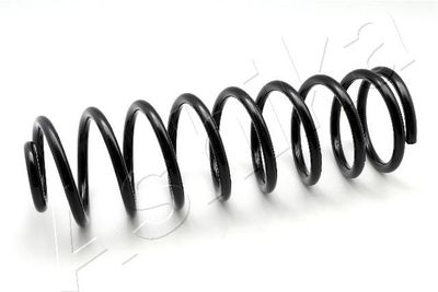 Suspension Spring ASHIKA ZCA5143G