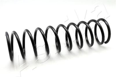 Suspension Spring ASHIKA ZCA5145A
