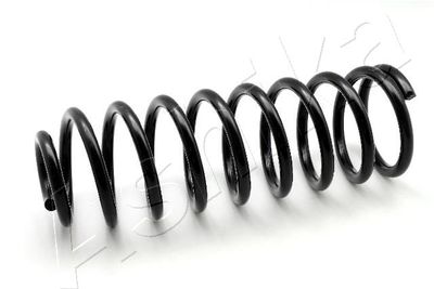 Suspension Spring ASHIKA ZCA5213G
