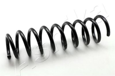 Suspension Spring ASHIKA ZCA5245C