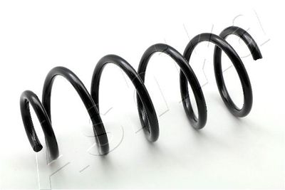 Suspension Spring ASHIKA ZCA5279C