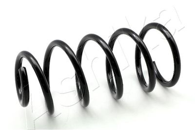 Suspension Spring ASHIKA ZCA5287H