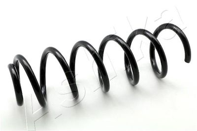 Suspension Spring ASHIKA ZCA5421C
