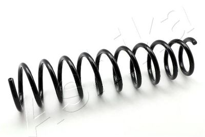 Suspension Spring ASHIKA ZCA5478G