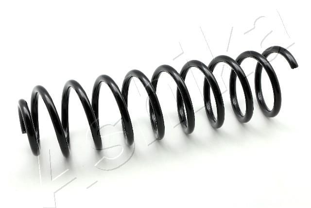 ASHIKA ZCA5496C Suspension Spring