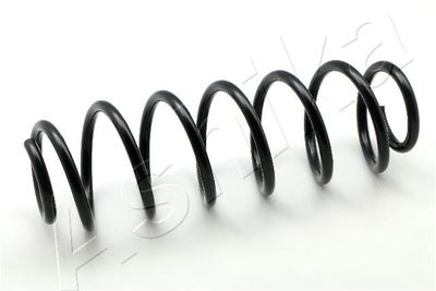 Suspension Spring ASHIKA ZCA5498H