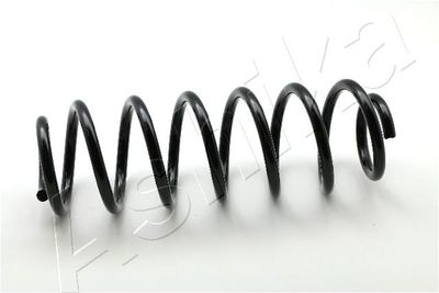 Suspension Spring ASHIKA ZCA5535H