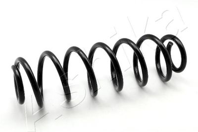 Suspension Spring ASHIKA ZCA5537H