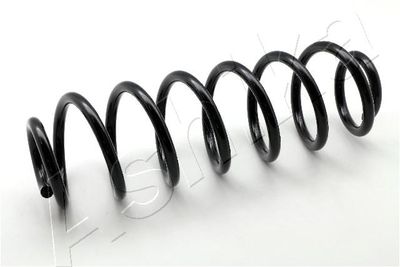 Suspension Spring ASHIKA ZCA5544H