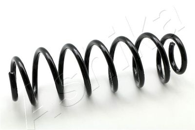 Suspension Spring ASHIKA ZCA5545H