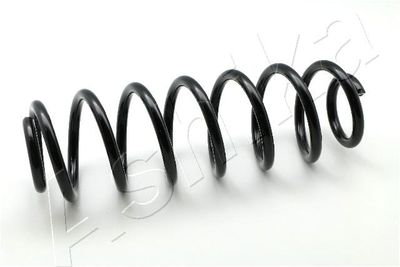 Suspension Spring ASHIKA ZCA5546H