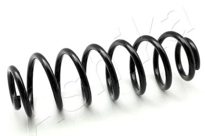 Suspension Spring ASHIKA ZCA5549H