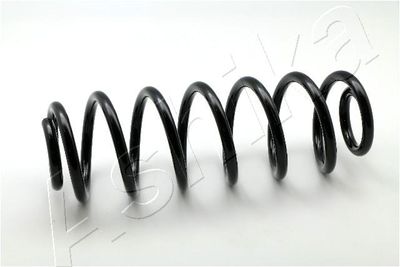Suspension Spring ASHIKA ZCA5550H