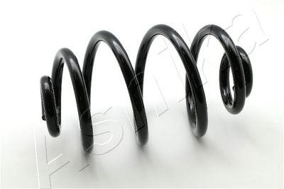 Suspension Spring ASHIKA ZCA5551X