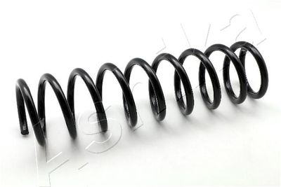 Suspension Spring ASHIKA ZCA5566A