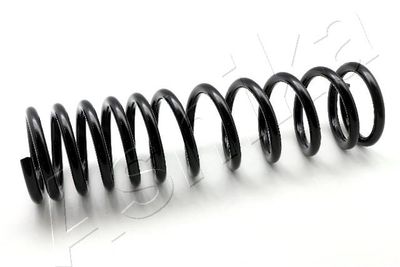 Suspension Spring ASHIKA ZCA5609A