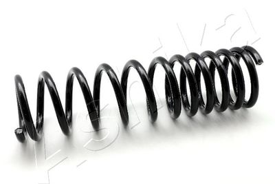 Suspension Spring ASHIKA ZCA5613A