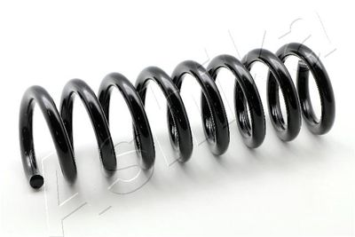 Suspension Spring ASHIKA ZCA5673A