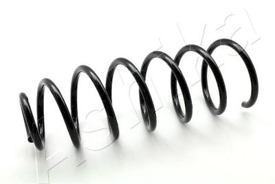 Suspension Spring ASHIKA ZCA5769C
