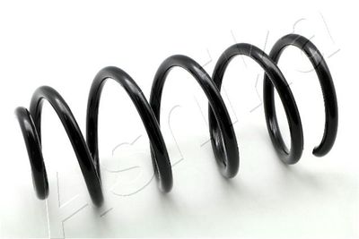 Suspension Spring ASHIKA ZCA5804C