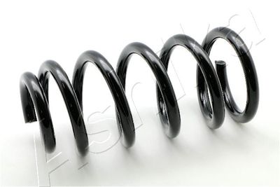 Suspension Spring ASHIKA ZCA5809C