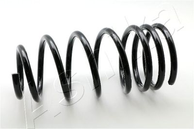 Suspension Spring ASHIKA ZCA5880C