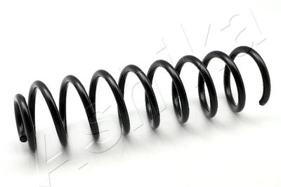 Suspension Spring ASHIKA ZCA5885C