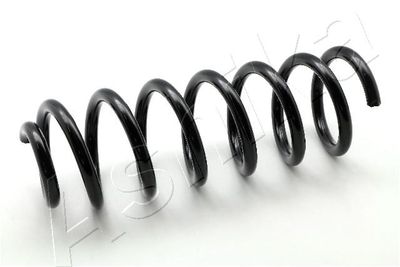 Suspension Spring ASHIKA ZCA5931C