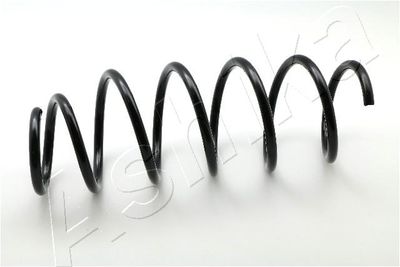 Suspension Spring ASHIKA ZCA6069H