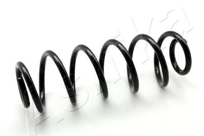 Suspension Spring ASHIKA ZCA6076A