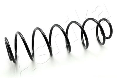 Suspension Spring ASHIKA ZCA6081H