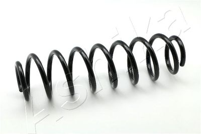 Suspension Spring ASHIKA ZCA6086H