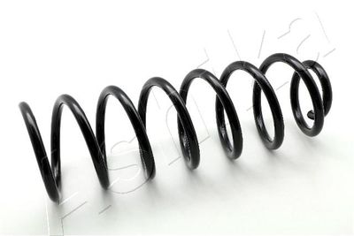 Suspension Spring ASHIKA ZCA6110A