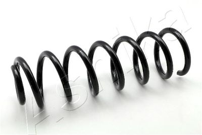 Suspension Spring ASHIKA ZCA6112A