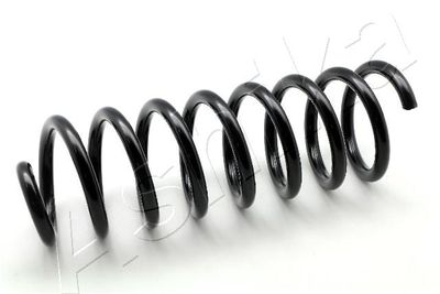 Suspension Spring ASHIKA ZCA6115A