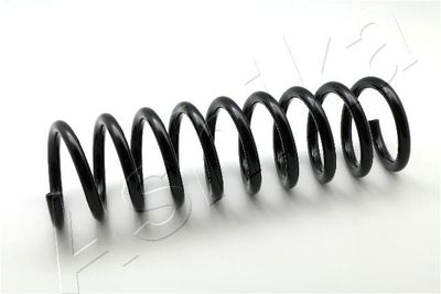 Suspension Spring ASHIKA ZCA6116A