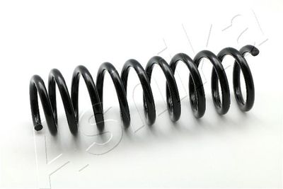 Suspension Spring ASHIKA ZCA6125A