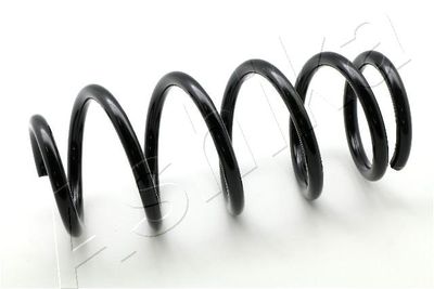 Suspension Spring ASHIKA ZCA6134A