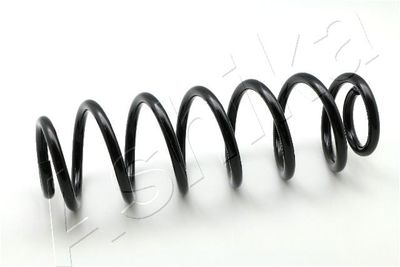 Suspension Spring ASHIKA ZCA6143A