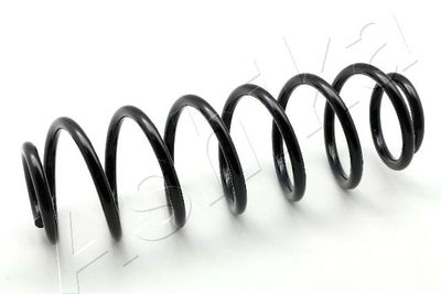 Suspension Spring ASHIKA ZCA6156A