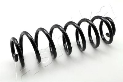 Suspension Spring ASHIKA ZCA6163A