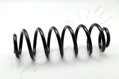 Suspension Spring ASHIKA ZCA6164A