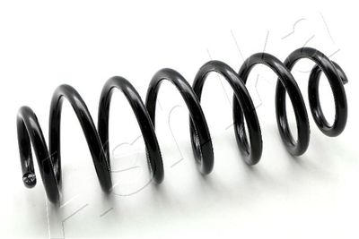 Suspension Spring ASHIKA ZCA6165A