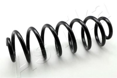 Suspension Spring ASHIKA ZCA6166A