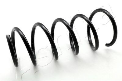 Suspension Spring ASHIKA ZCA6190A