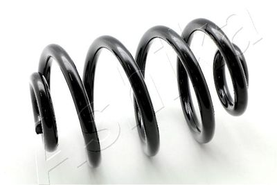 Suspension Spring ASHIKA ZCA6201X