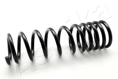 Suspension Spring ASHIKA ZCA6204A