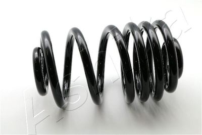 Suspension Spring ASHIKA ZCA6216X
